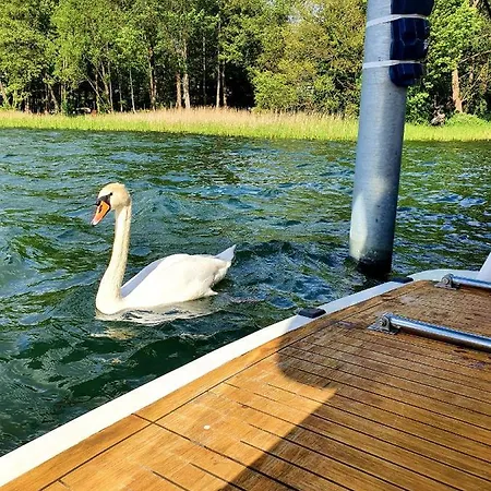 Yacht Amavida - Jacht - Traumzeitboot - Exklusiver Festanlieger In Perfekter Lage Auf Dem Scharmuetzelsee