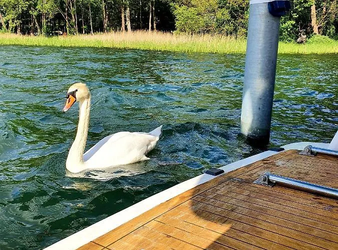 Traumzeitboot Amavida Yacht Auf Dem Scharmuetzelsee